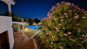 Villa Luna Rossa con piscina img31