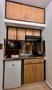 Central Studio Semi-basement