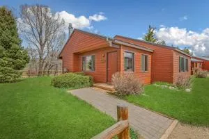 Wood Duck - Encampment