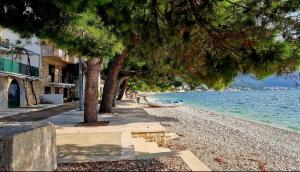 Charmy rest house Podaca 