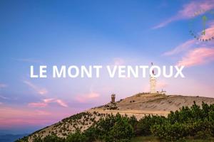 Maisons de vacances Maison Ange & Lice : photos des chambres