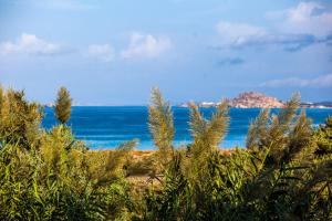 Villa Alyko Naxos Greece