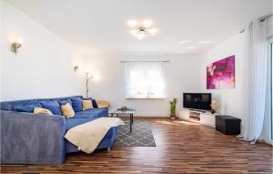 Beautiful Apartment In Karin Gornji