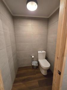 El Alemán de Farellones