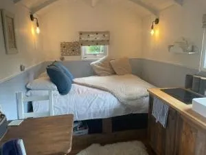 Shepherds hut - Princetown