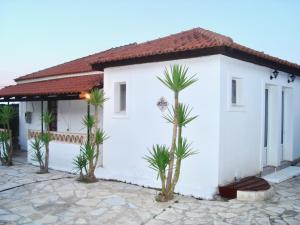 Studio (4 Adults) room in Valentino Villas & Apartments