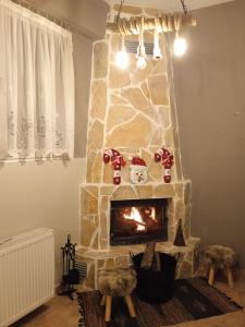 Chrysoulas home -koziakas- PYLI