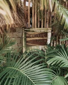 Koos Tulum Hotel