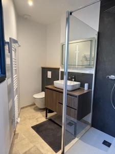 Chalets le grand ours : photos des chambres