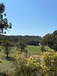 Grape Farm Cottage with picturesque vineyard views