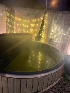 Amazing little house on an island with garden