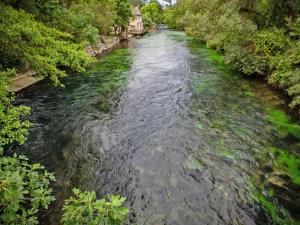 Maisons de vacances La Cadeline : photos des chambres