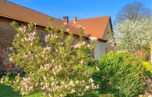 Ferienwohnung Rheinsberg