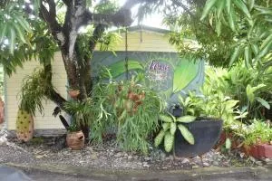 Gite d'Arles Bungalow "L'Oasis" - Gardel