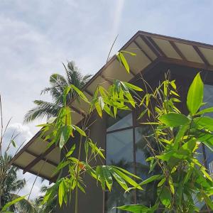 CASA T Modern Tropical Wabi Sabi inspired villa