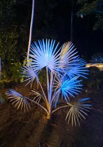 Casa Agua Viva - 蓬塔乌巴