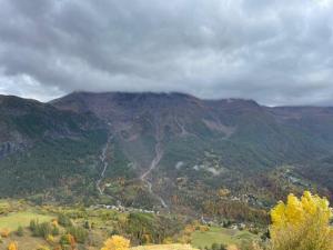 Appartements Appartement 3 pieces pour 6 pers, animaux admis, proche pistes - FR-1-636-234 : photos des chambres