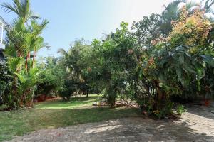 Urban Garden Vacation Rental