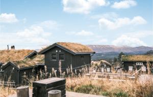 Stunning Home In Rauland With Wifi