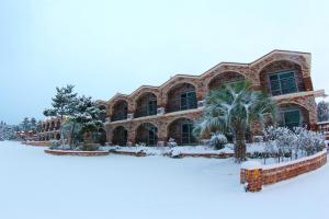 Jeju TS Youth Hostel & Resort