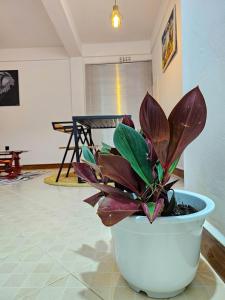 Fly Africa Village 4