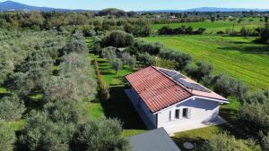 Casa RiVa - Among olive trees and the Tuscan coast