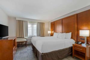 King Suite with Sofa Bed - Non-Smoking  (No Pets Allowed) room in Comfort Suites Golden West on Evergreen Parkway