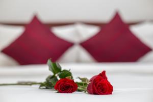 Solitaire Damnak Villa Hotel