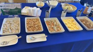 Toyoko Inn Hirosaki Ekimae