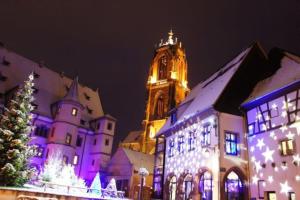 Appartements la cigogne d-Alsace 1 : photos des chambres