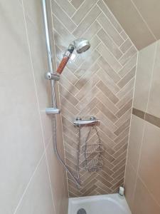 Appartements la cigogne d-Alsace 1 : photos des chambres