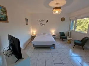 Studio cosy Tours-Sud - 威尼