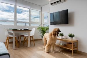 MONKÓ SALOMÉ HILLs