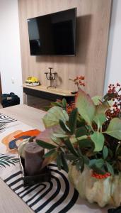 Apartment Iv with a private garage