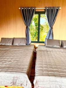 Đại Ngàn Homestay