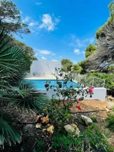 Ses Roques Vermelles - Menorca - Cala Morell