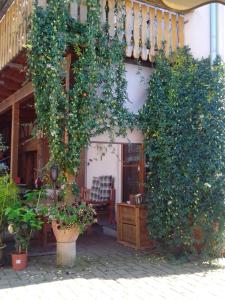 Gästehaus Brunhilde