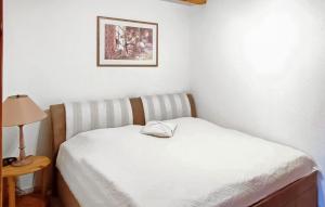 Ferienwohnung Wokuhl-Dabelow