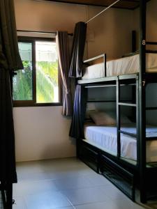 Closca Hostel Koh Tao