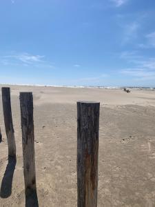 Appartements Le nid douillet Terrasse La Roquette Arles : photos des chambres