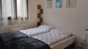 Appartements Hameau 5 103 - SPA & PISCINE appartement 6 pers : photos des chambres