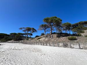 Location T2 44 m2 proche plage Lecci appartement 82