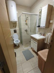 Sunrise apartment Sokobanja