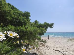 La Perla e il Corallo img24