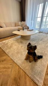 High End Elegant Living & Free Parking