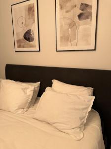 Central City Apartment B