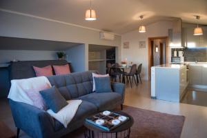 Viana Rooftop House - Apartment in the historic center with river view