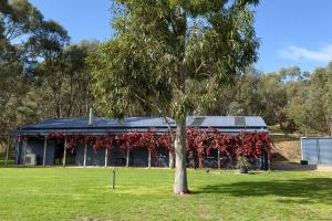 Peaceful getaway in stunning bush setting