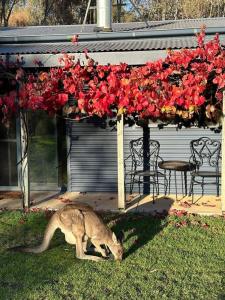 Peaceful getaway in stunning bush setting