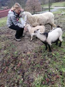 Ranc Polo Velka sobe